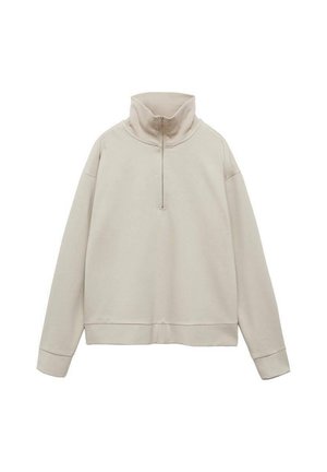 Beige sweatshirt with a high collar and a half-zip closure. Features loose-fitting sleeves and a wide ribbed hem. Soft fabric texture.