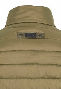 Olivgrüne Daunenjacke mit hohem Kragen, gestepptem Design und einem schwarzen Etikett mit Ösen auf der Rückseite zum Aufhängen. Glatte Textur.