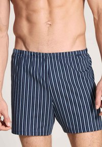 Marineblauwe gestreepte zwemshorts van lichtgewicht stof, met verticale strepen in lichter blauw, een elastische tailleband en een zijzak.