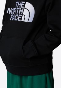 The North Face DREW PEAK HOODIE UNISEX - Sportinis megztinis - tnf black