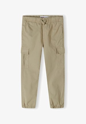 Beżowe spodnie cargo z elastycznym paskiem w talii, dwoma bocznymi kieszeniami cargo oraz zwężającą się nogawką. Wykonane z lekkiej bawełnianej tkaniny.