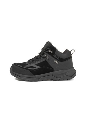 PALKA MTD - Lace-up ankle boots - black