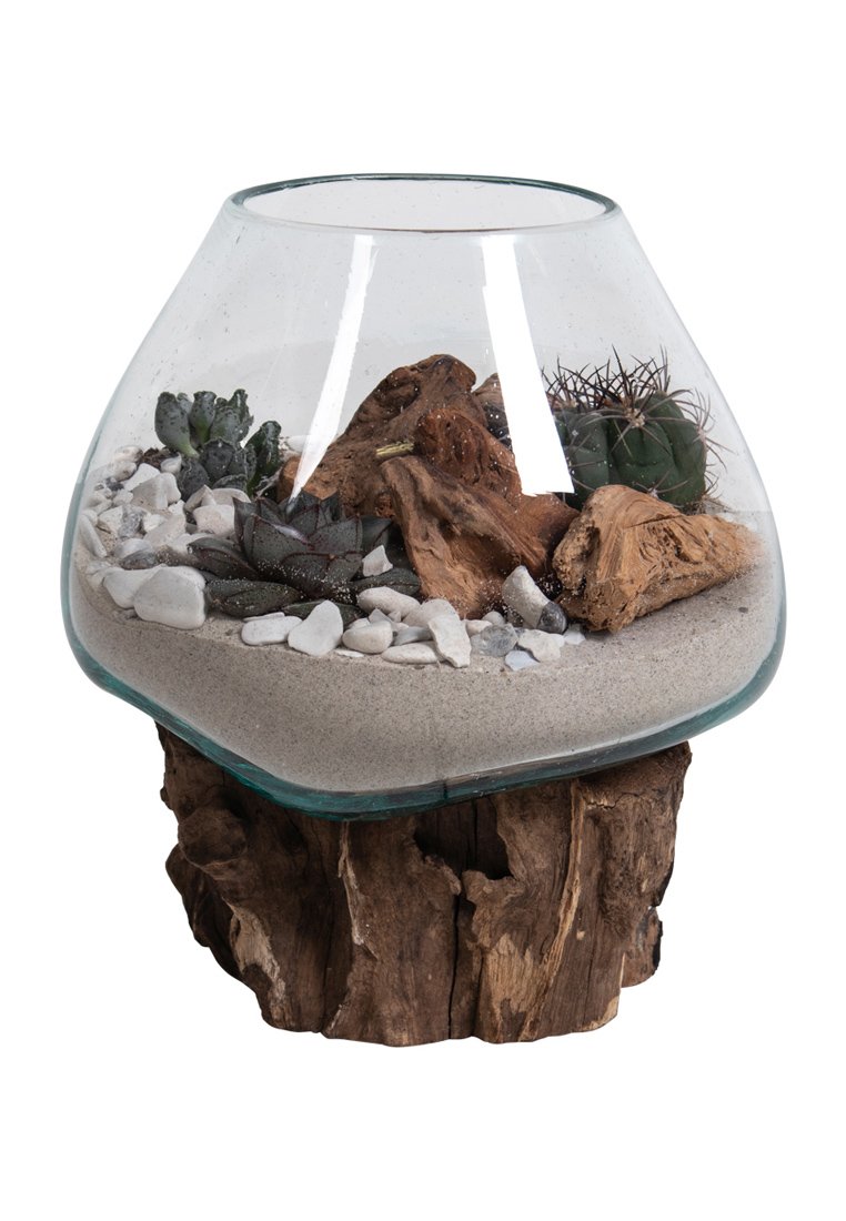 Glazen terrarium met een afgeronde bovenkant, gevuld met zand, kiezelstenen, vetplanten en drijfhout, ondersteund door een ruwe houten basis.