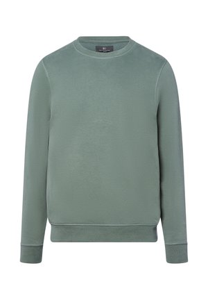 Green sweatshirt made from soft fabric, featuring a crew neck, long sleeves, ribbed cuffs, and a straight hem with subtle stitching details.