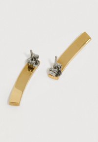 Aukso spalvos metaliniai plaukų segtukai, išlenktos formos ir blizgiu paviršiumi. Komplekte yra sidabro spalvos tvirtinimo detalės, užtikrinančios saugų pritvirtinimą.