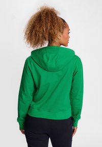 Grüner Hoodie mit Kordelzugkapuze, langen Ärmeln und Bündchen; aus weichem Stoff mit glatter Textur hergestellt. Rückansicht dargestellt.