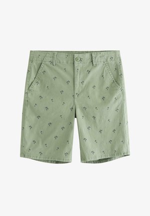 Chłopiec stoi ubrany w białą koszulę z krótkim rękawem na guziki, białą koszulkę, zielone szorty z małymi nadrukami palm, czarne sandały i czarny naszyjnik.