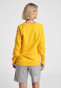Gul långärmad sweatshirt med raglanärmar, ribbad mudd och grafiska ränder på ryggen. Kombineras med grå shorts som har ett vitt chevronmönster.