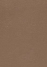 Minimum PERNILLES - Pitkähihainen paita - shitake