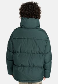 Persoon met krullend haar die een donkergroene pufferjack met hoge kraag draagt, gezien vanaf de achterkant, staande tegen een effen achtergrond.