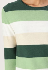 Groen en wit gestreepte gebreide trui met een ronde halslijn; heeft afwisselend brede strepen in verschillende tinten groen en crème.