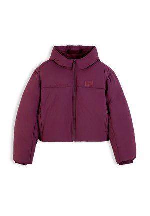 Tommy Jeans, HOODED FLAG PUFFER - Зимно яке - calypso berry