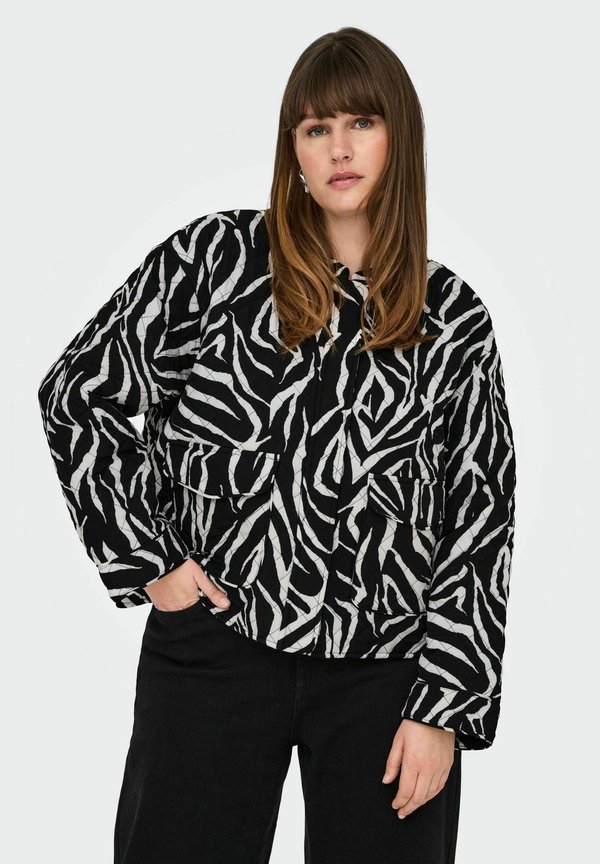 CARHALLIE STEPP - Übergangsjacke