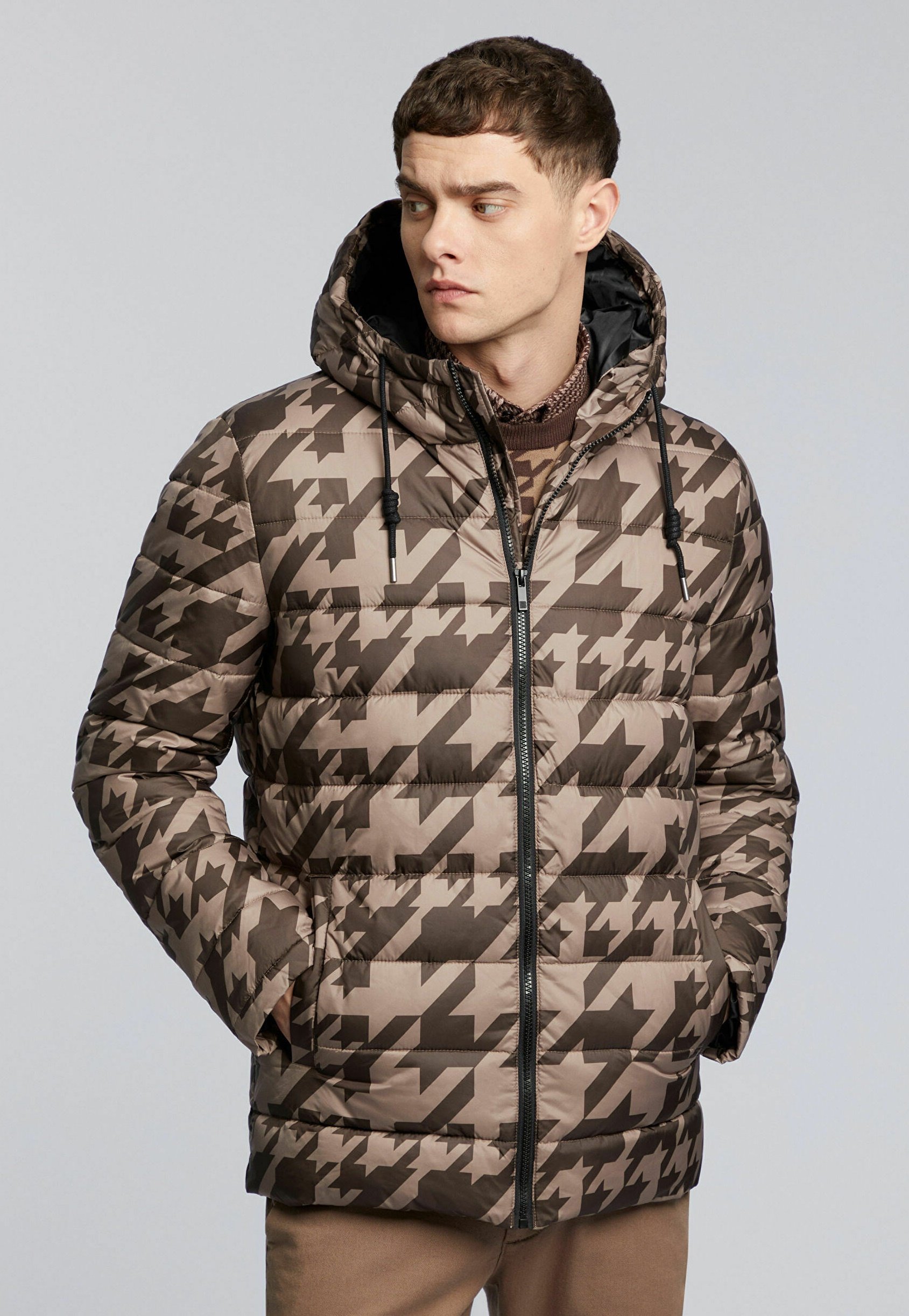 dog has inflamed paw