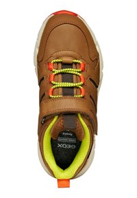Baskets en cuir marron avec des lacets néon verts et oranges, dotées d'un intérieur rembourré, d'une semelle blanche et d'un accent rouge au talon.