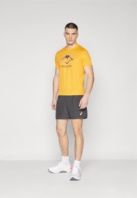 ASICS CORE SHORT - Pantalón corto de deporte - graphite grey