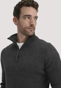 Grauer Zip-Kragen-Pullover mit strukturiertem Strick, ausgestattet mit einem Stehkragen und einer enganliegenden Passform. Das Material wirkt weich und warm.