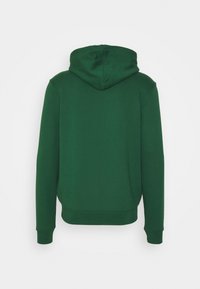 Felpa verde con cappuccio, caratterizzata da maniche lunghe e orlo a costine. Tessuto morbido con un design minimalista, senza motivi o accenti visibili.