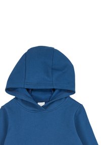 Blauer Kapuzenpullover mit weichem Stoff, runder Kapuze und langen Ärmeln. Das Design zeichnet sich durch einen klassischen Pulloverstil ohne sichtbare Muster aus.