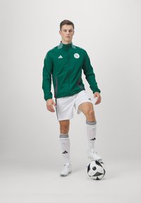 adidas Performance ALGERIA FAF PRESENTATION JACKET GRAPHIC - Article de supporter d'équipe nationale - team dark green