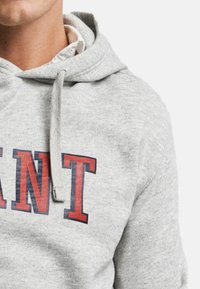 Felpa grigia con cappuccio e lacci, caratterizzata da una scritta in rosso e blu scuro "ANT." Texture morbida con un design casual, indossata sopra una maglietta bianca.