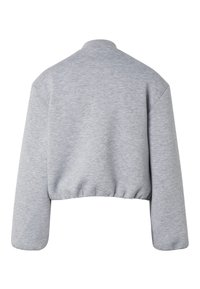 Sweat-shirt court gris clair avec manches longues et col côtelé, vu de dos sur fond blanc.