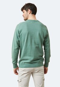 Sudadera de algodón verde con mangas largas, cuello redondo y puños acanalados. Textura suave y corte holgado, mostrada desde la parte de atrás.