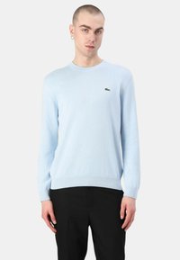 Helles blauer Strickpullover mit Rundhalsausschnitt und langen Ärmeln. Besitzt ein kleines grünes Logo auf der Brust sowie einen gerippten Saum und Bündchen.