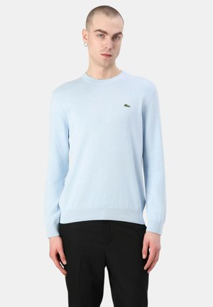 Helles blauer Strickpullover mit Rundhalsausschnitt und langen Ärmeln. Besitzt ein kleines grünes Logo auf der Brust sowie einen gerippten Saum und Bündchen.