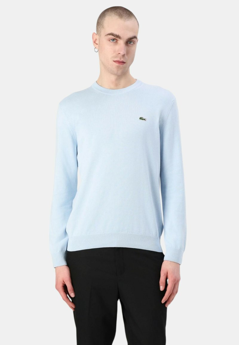 Helles blauer Strickpullover mit Rundhalsausschnitt und langen Ärmeln. Besitzt ein kleines grünes Logo auf der Brust sowie einen gerippten Saum und Bündchen.
