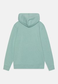 Bakvy av en enfärgad ljusgrön hoodietröja med långa ärmar och ribbade manschetter mot en vit bakgrund.