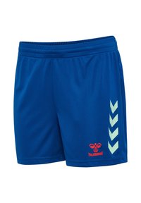 Blaue Sportshorts mit einem elastischen Bund. Sie verfügen über ein kleines rotes Logo und hellgrüne Zickzackstreifen an der Seite. Leichtes Material.