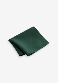 Next SET REGULAR FIT - Einstecktuch - forest green