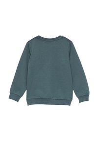 Tumši zaļgans džemperis ar garām piedurknēm, apaļu kakla izgriezumu un ribotām piedurknēm. Izgatavots no mīksta auduma ar gludu tekstūru. Vienkāršs un bezrūpīgs dizains.