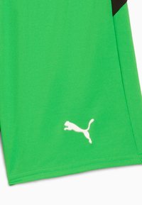 Vihreä urheiluvaatekangas, jossa on valkoinen Puma-logo alahelman lähellä ja pieni musta yksityiskohta yläoikealla.