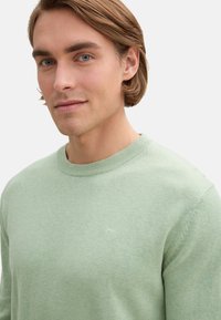 Pullover verde chiaro realizzato in tessuto morbido e testurizzato. Presenta un collo a costine e un logo discreto sul petto.