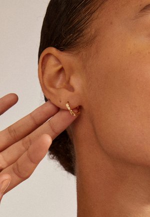 Pilgrim EDDY SHAPED SMALL HOOPS - Kõrvarõngad - gold-coloured