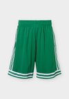 SWINGMAN SHORT BOSTON CELTICS - Squadra - kelly green
