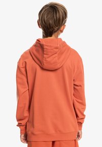 Sudadera con capucha en una suave tela terracota. Presenta un corte relajado, mangas largas y un diseño sencillo sin patrones prominentes.