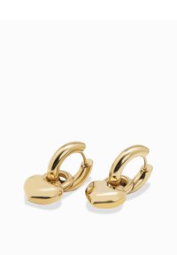 Zeltainā toņa auskari ar gredzena formu, kuriem ir sirds formas akcents. Gluda, spīdīga metāla apdare ar eņģu aizdari.