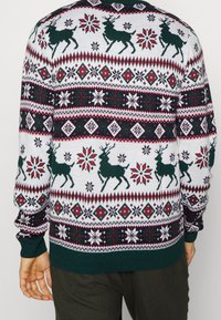 Personne portant un pull blanc avec des rennes verts, des flocons de neige rouges et verts, et des motifs géométriques, vue de dos.