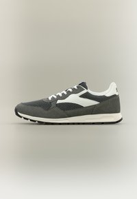 Избран, frost gray