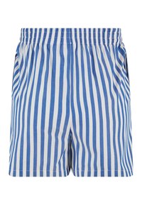 Shorts à rayures verticales bleu et blanc avec ceinture élastique et poches latérales, présentés de face sur un fond blanc.