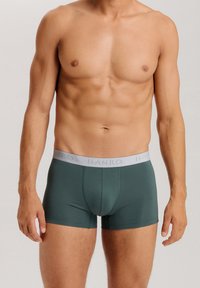 Gröna bomullskalsonger med grå elastisk midjeband märkt "HANRO." Slät textur, åtsittande design och mitt på låret längd.