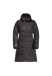 Jack Wolfskin EISBACH - Winter coat - hazelnut brown/brown