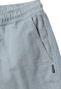 Quiksilver TAXER  - Shorts - blue