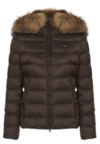 Blauer ARCADIA - Chaqueta de invierno - castagna