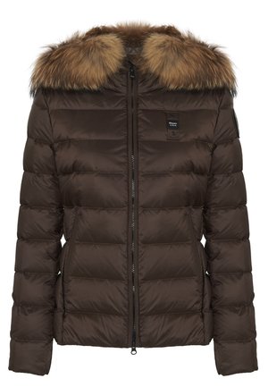 Blauer ARCADIA - Chaqueta de invierno - castagna