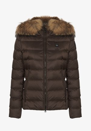 Blauer ARCADIA - Chaqueta de invierno - castagna