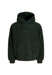 Hoodie en polaire verte avec une surface texturée et pelucheuse, une grande capuche, et des poignets et un ourlet côtelés. Présente un petit logo à l'avant.